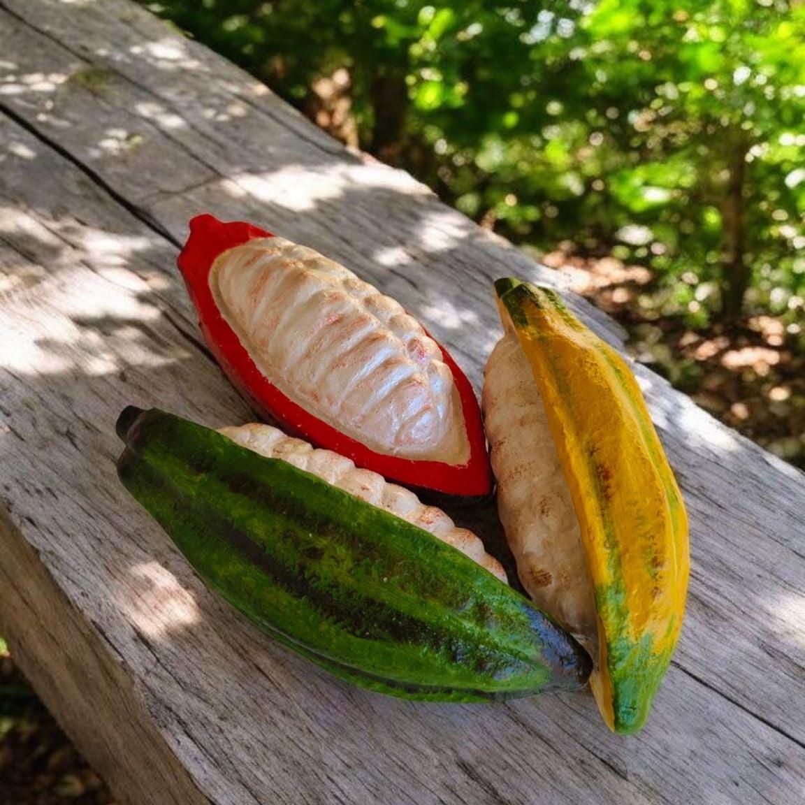 Realistic Fake Cocoa Fruit Replica, Half With Cocoa Beans: Tropical Display  Prop