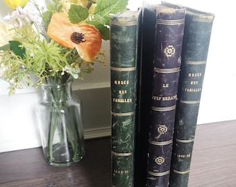 Libri antichi del XIX secolo, set di 3 grandi libri della metà del XIX secolo, libri francesi d'epoca per la decorazione di scaffali, arredamento di libri antichi