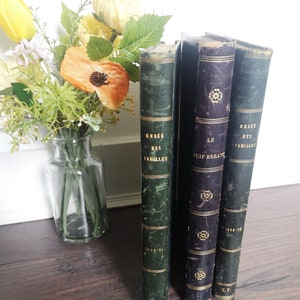 Antique books 19th century, large beautiful mid 19th century books, vintage French books for shelf decoration, vintage book decor