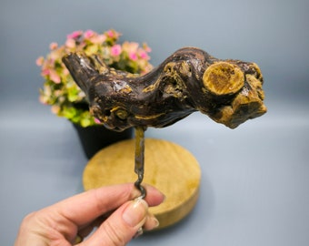 Sacacorchos de vid vintage, sacacorchos francés años 80, sacacorchos coleccionable en forma de figura animal, un regalo para un amante del vino, hombre