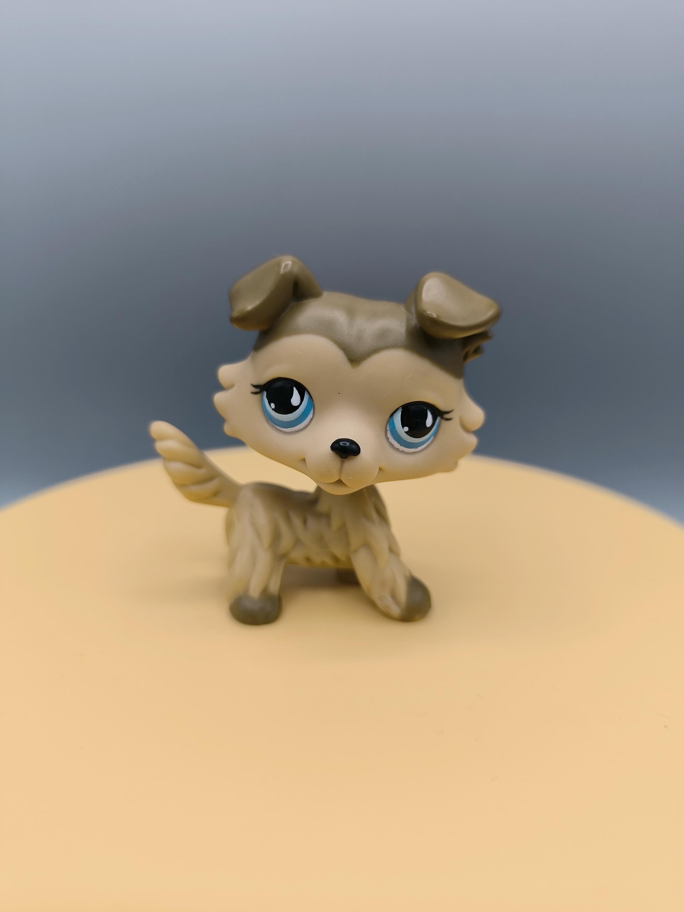 LPS #893 LITTLEST Petshop Original Authentique Chien Colley Dog Collie Hasbro