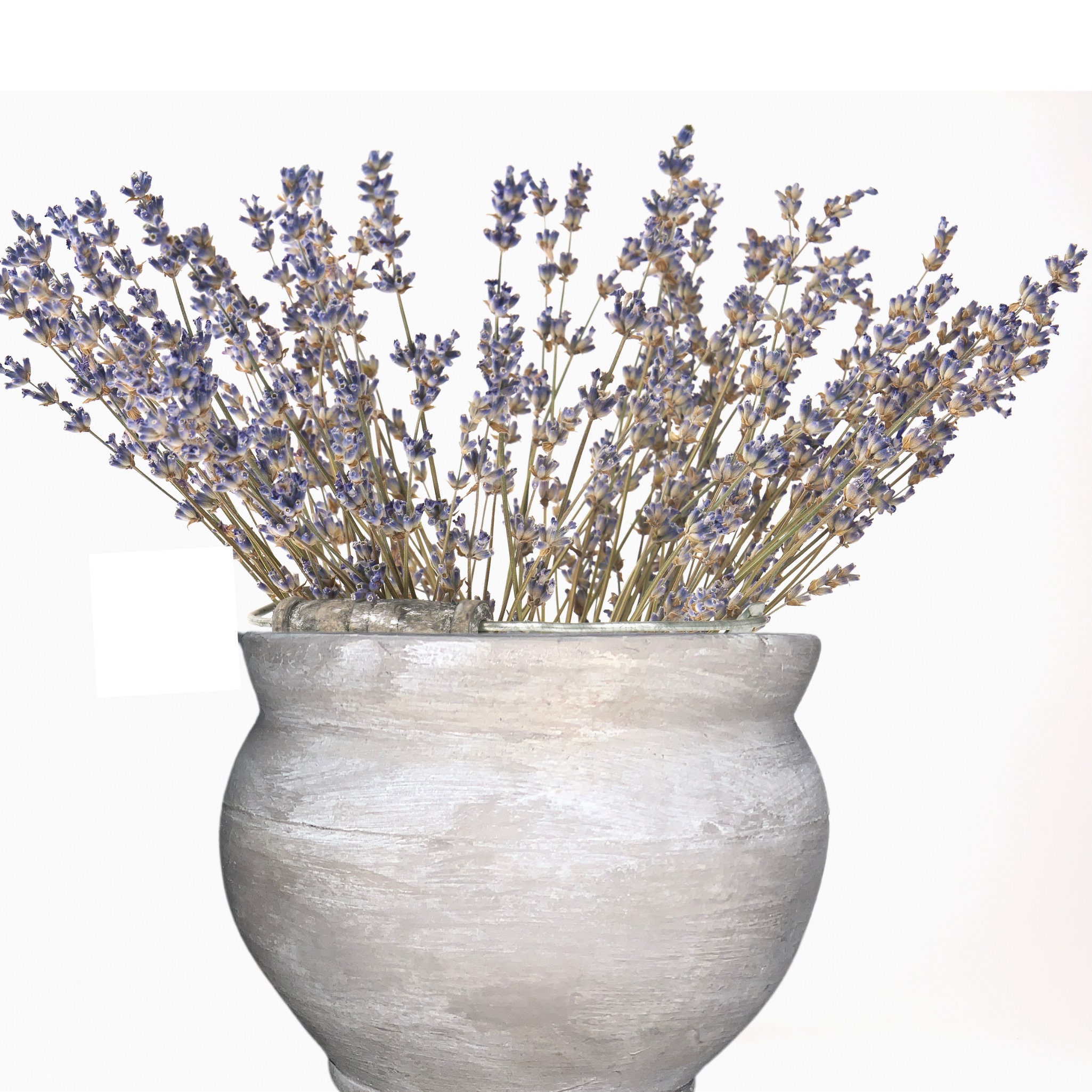 Pot de Fleurs Séchées Fabriqué à La Main Partir d'argile en France