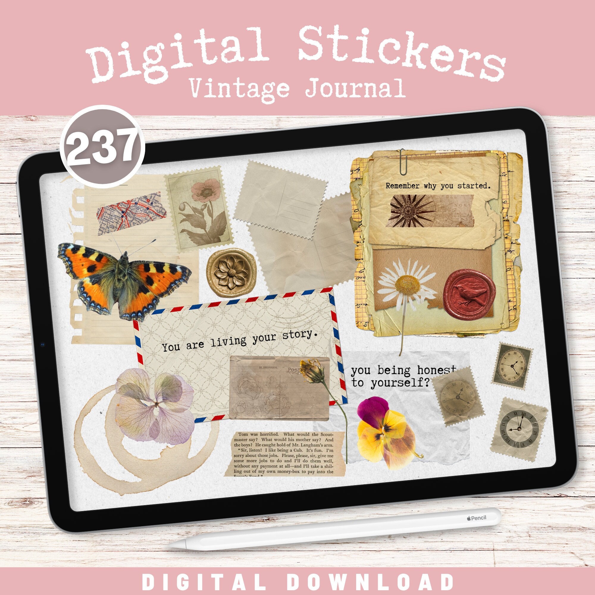 Free Shipping] 60 PS Aesthetic Fancy Journaling Stickers W/ Golden