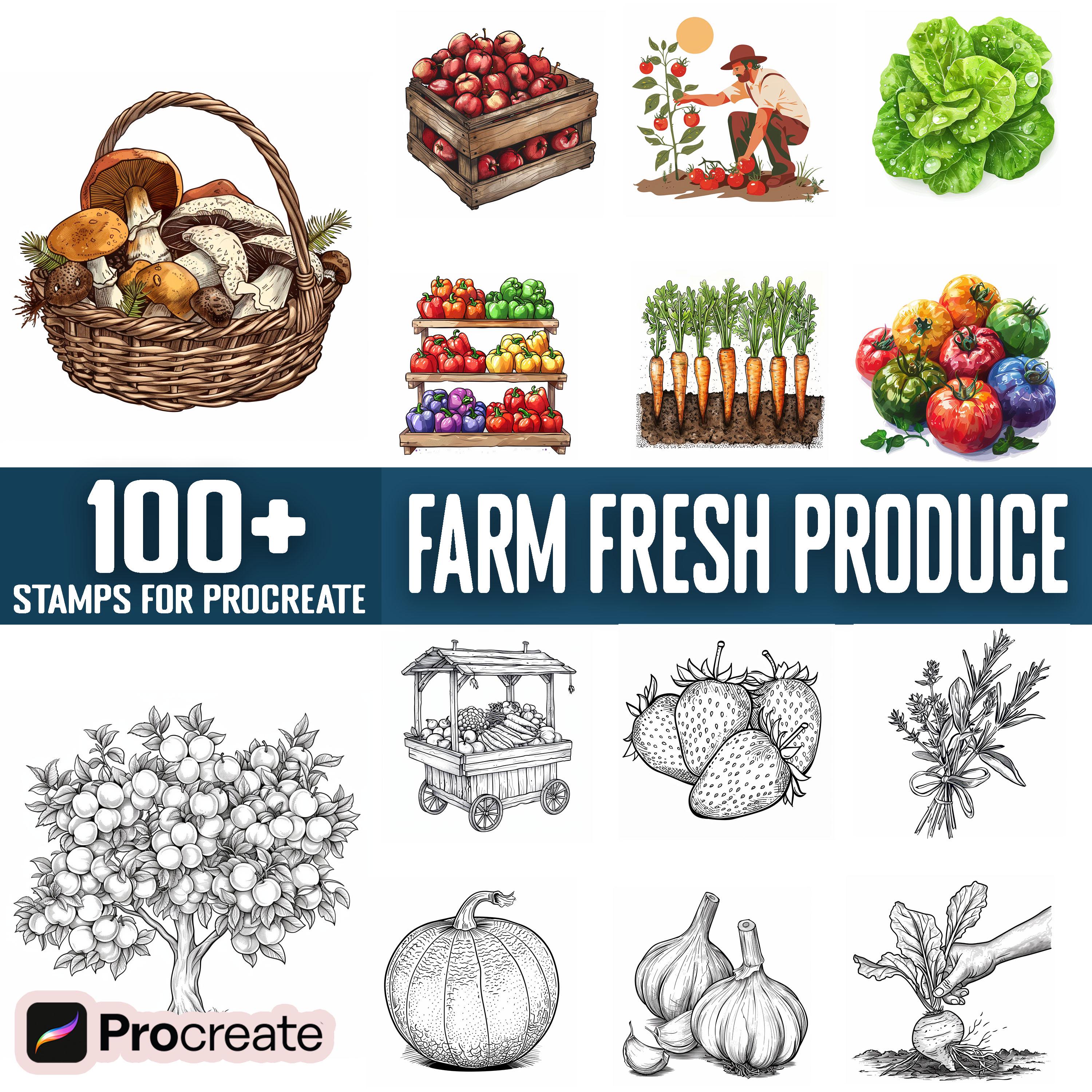 100+ Farm Fresh Produce Procreate Stamps, Brushes for Procreate ...