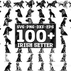 Op de afbeelding: Een verzameling van meer dan 100 zwart-wit silhouetbeelden van Irish Setters in verschillende poses. De afbeeldingen zijn perfect voor knutselen, scrapbooking en andere creatieve projecten. SVG-PNG-DXF-EPS.