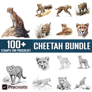 May include: A digital art bundle of 100+ cheetah stamps for Procreate. The stamps feature various poses and angles of cheetahs in both color and black and white.