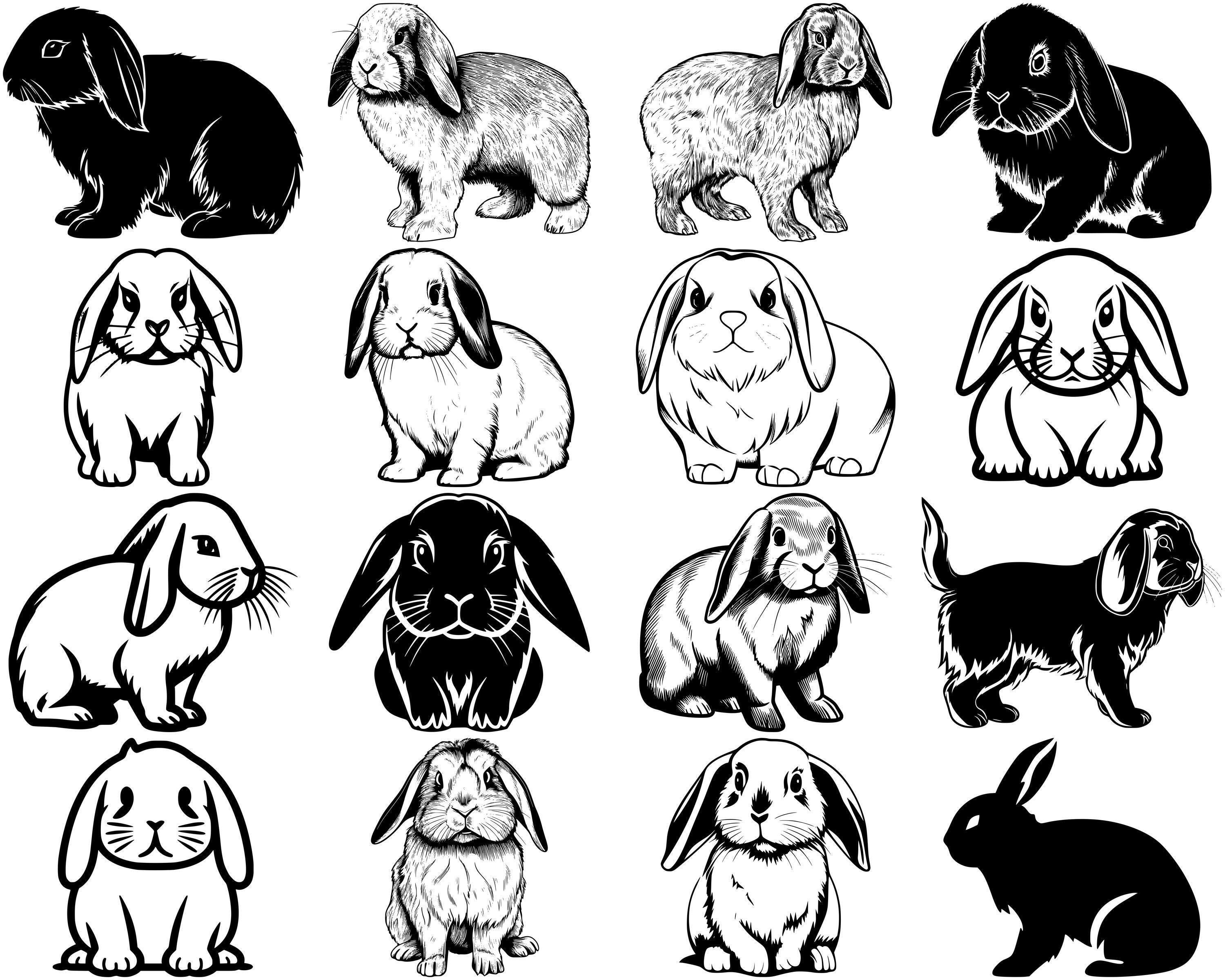 Holland Lop Bunny SVG Bundle, Set of 100, Instant Digital Download, Png ...