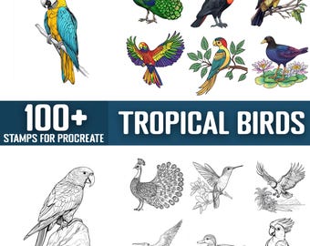 100+ Tropical Birds Procreate Stamps, Brushes for Procreate, Instant Digital Download