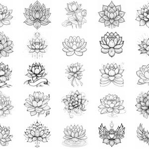 100+ Lotus Flower Procreate Stamps, Brushes for Procreate, Instant ...