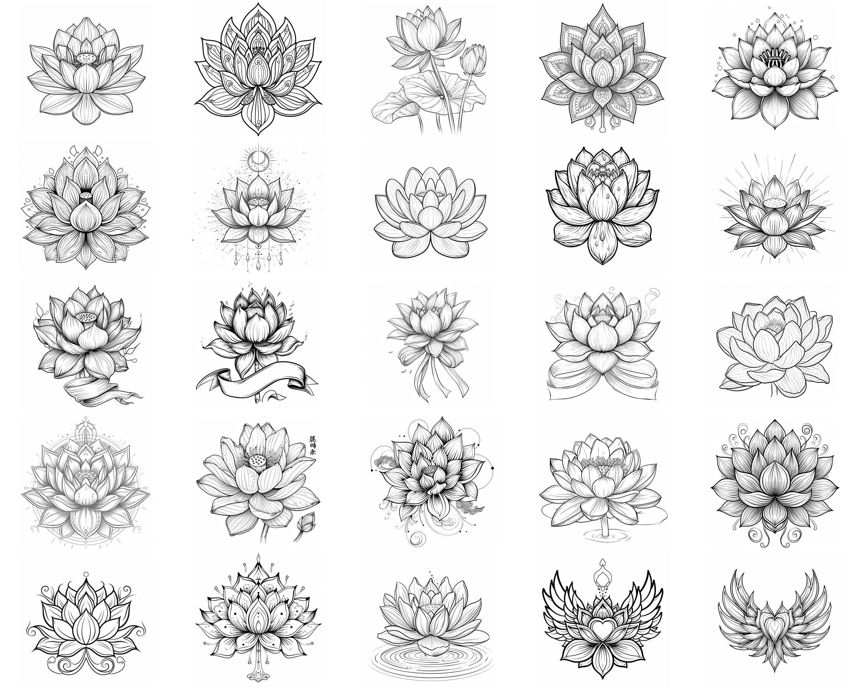 100+ Lotus Flower Procreate Stamps, Brushes for Procreate, Instant ...