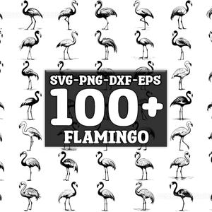 Flamingo SVG Bundle, Set of 100, Instant Digital Download, png, svg, eps, dxf