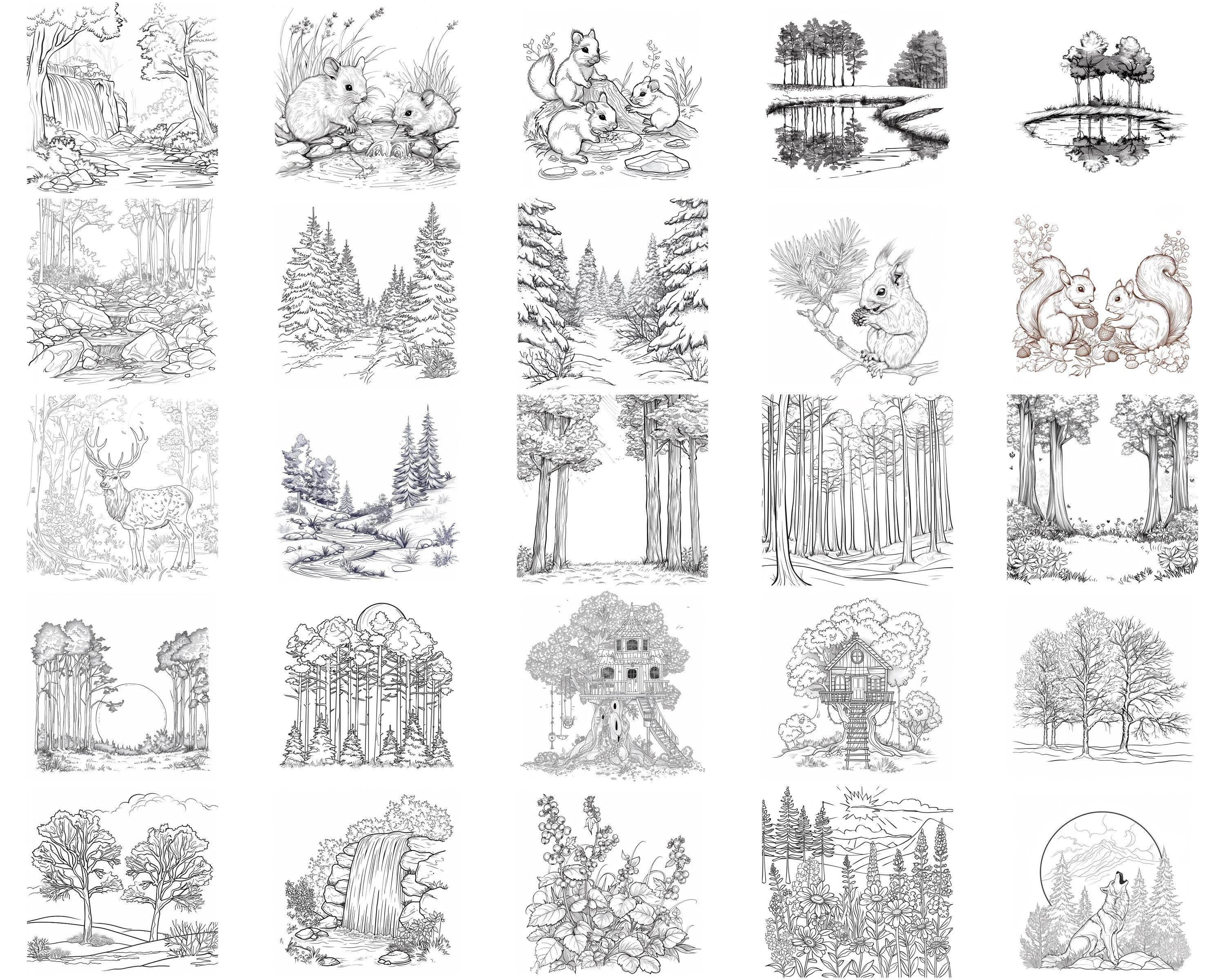 100+ Forest Scene Procreate Stamps, Brushes for Procreate, Instant ...