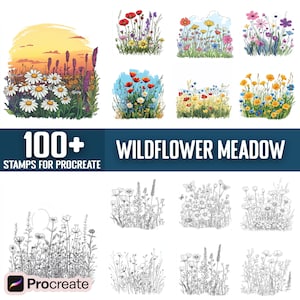 May include: A set of 100+ digital stamps for Procreate featuring colorful and black and white illustrations of wildflowers in a meadow. The stamps are perfect for adding a touch of nature to your digital art.