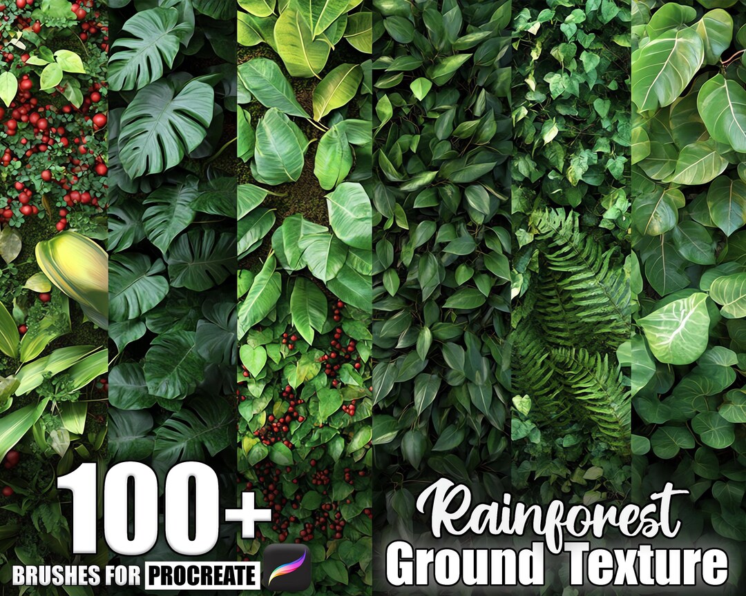 100+ Rainforest Ground Procreate Textures, Brushes for Procreate ...