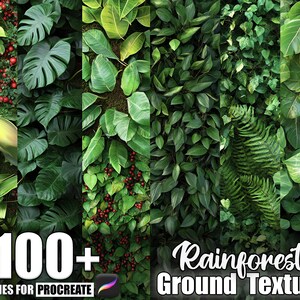 Puede incluir: Una imagen que muestra una variedad de follaje verde exuberante, incluyendo hojas grandes de Monstera y helechos. El texto "100+ Brushes for Procreate" y "Rainforest Ground Texture" está presente.