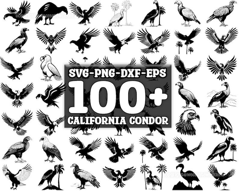 California Condor SVG Bundle, Set of 100, Instant Digital Download, Png ...
