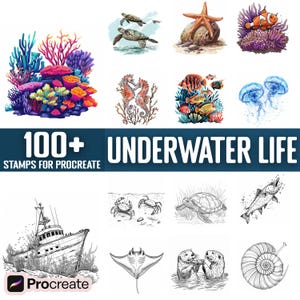 100+ Underwater Life Procreate Stamps, Brushes for Procreate, Instant Digital Download