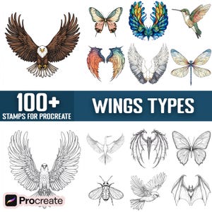 100+ Types of Wings Procreate Stamps, Brushes for Procreate, Instant Digital Download