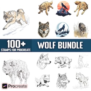 Könnte beinhalten: Ein digitales Kunstpaket mit über 100 Wolf-Illustrationen für Procreate. Die Illustrationen zeigen Wölfe in verschiedenen Posen, darunter Heulen, Laufen und Ausruhen. Das Paket enthält Schwarzweiß-Linienkunst sowie farbige Illustrationen.