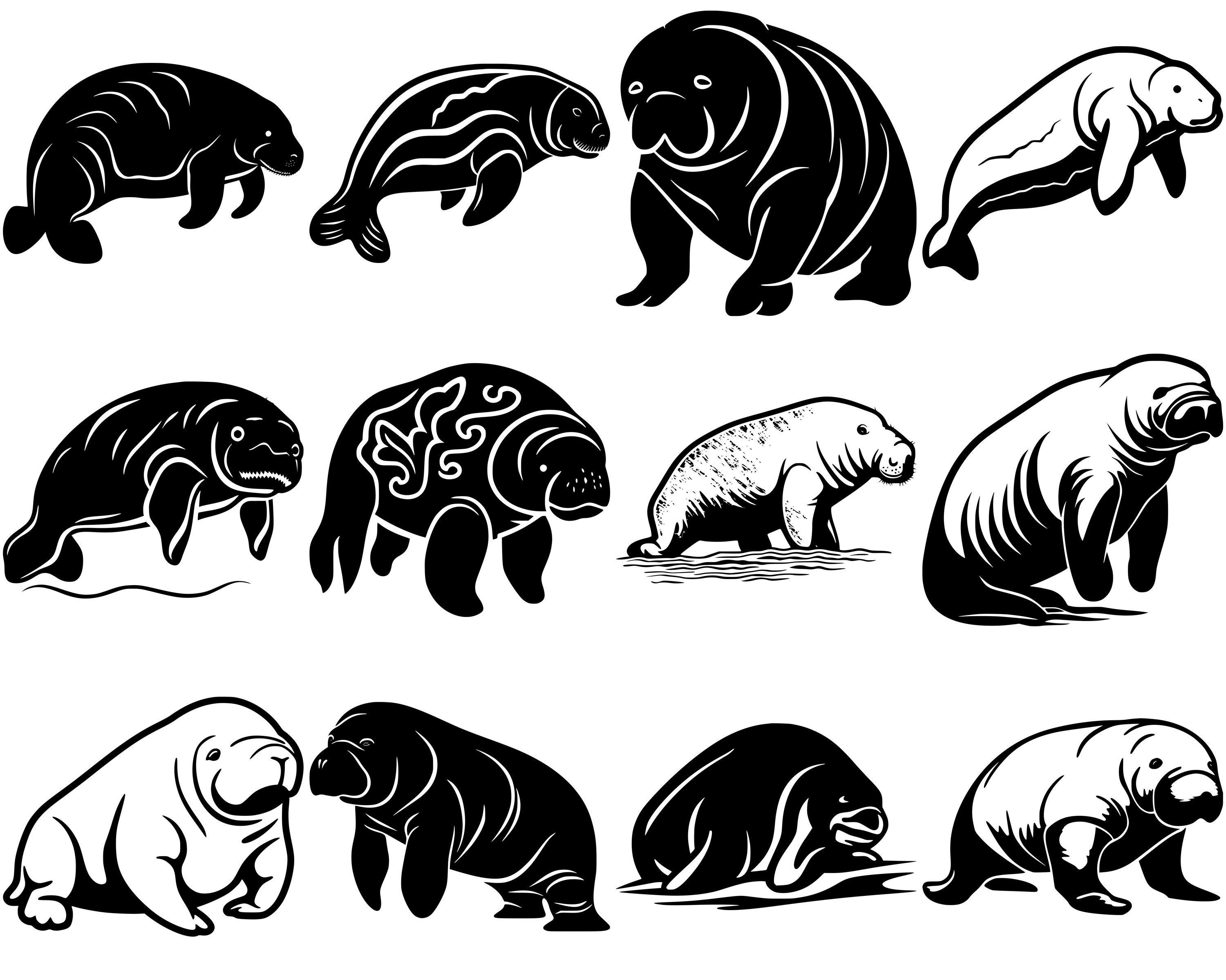 Manatee Vector File Manatee SVG Bundle, Set of 100, Instant Digital Download, Png, Svg, Eps ...