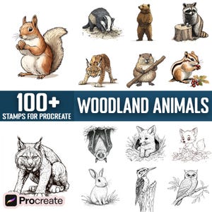Peut inclure: Un ensemble de plus de 100 illustrations d'animaux de la forêt pour Procreate. Les illustrations sont en noir et blanc et présentent une variété d'animaux, dont un écureuil, un blaireau, un raton laveur, un lynx, une marmotte, un tamia, une chauve-souris, un renard, un lapin, un pic et un hibou.