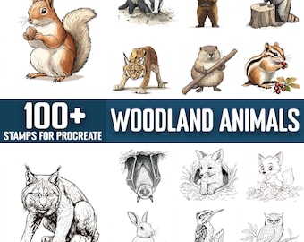 100+ Woodland Animals Procreate Stamps, Brushes for Procreate, Instant Digital Download