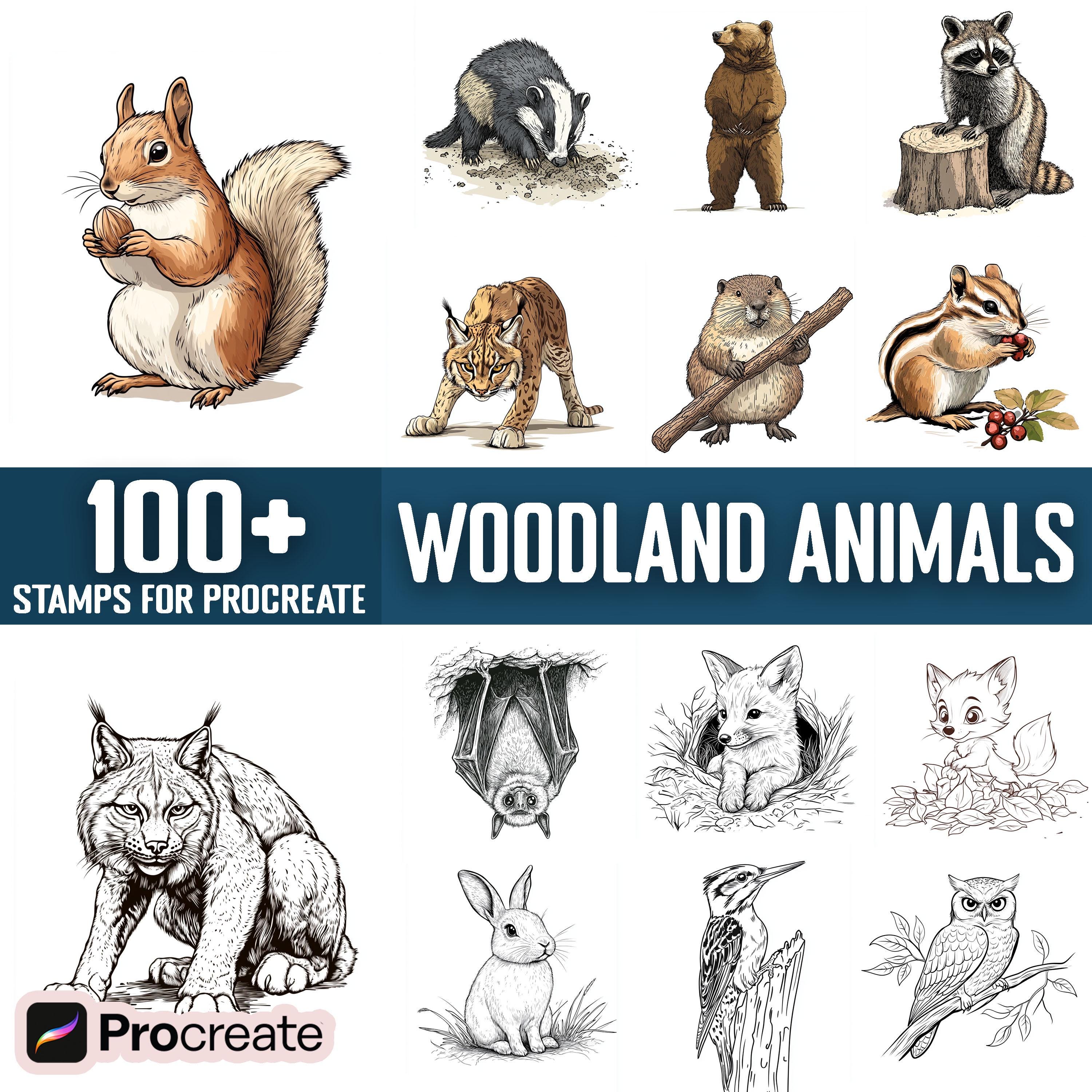 100+ Sellos y Pinceles Procreate de Animales del Bosque | Set Digital de Criaturas del Bosque