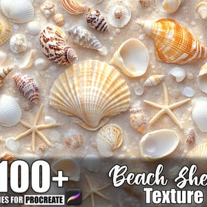 Può includere: Un assortimento di conchiglie e stelle marine su una superficie sabbiosa. Le conchiglie variano per dimensioni, forma e colore, tra cui bianco, beige, arancione e marrone. L'immagine include il testo "100+ Brushes for Procreate" e "Beach Shells Texture."