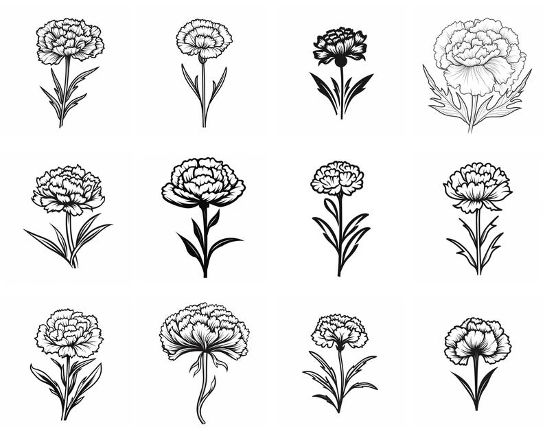 Carnation Flower SVG Bundle, Set of 100, Instant Digital Download, Png ...