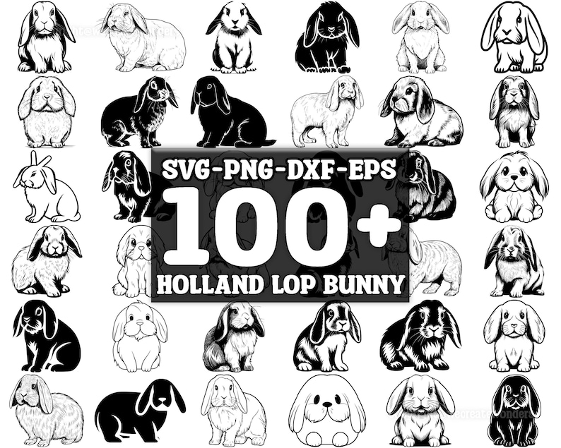 Holland Lop Bunny SVG Bundle, Set of 100, Instant Digital Download, Png ...