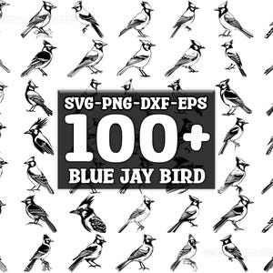 Blue Jay SVG Bundle, Set of 100, Instant Digital Download, png, svg, eps, dxf
