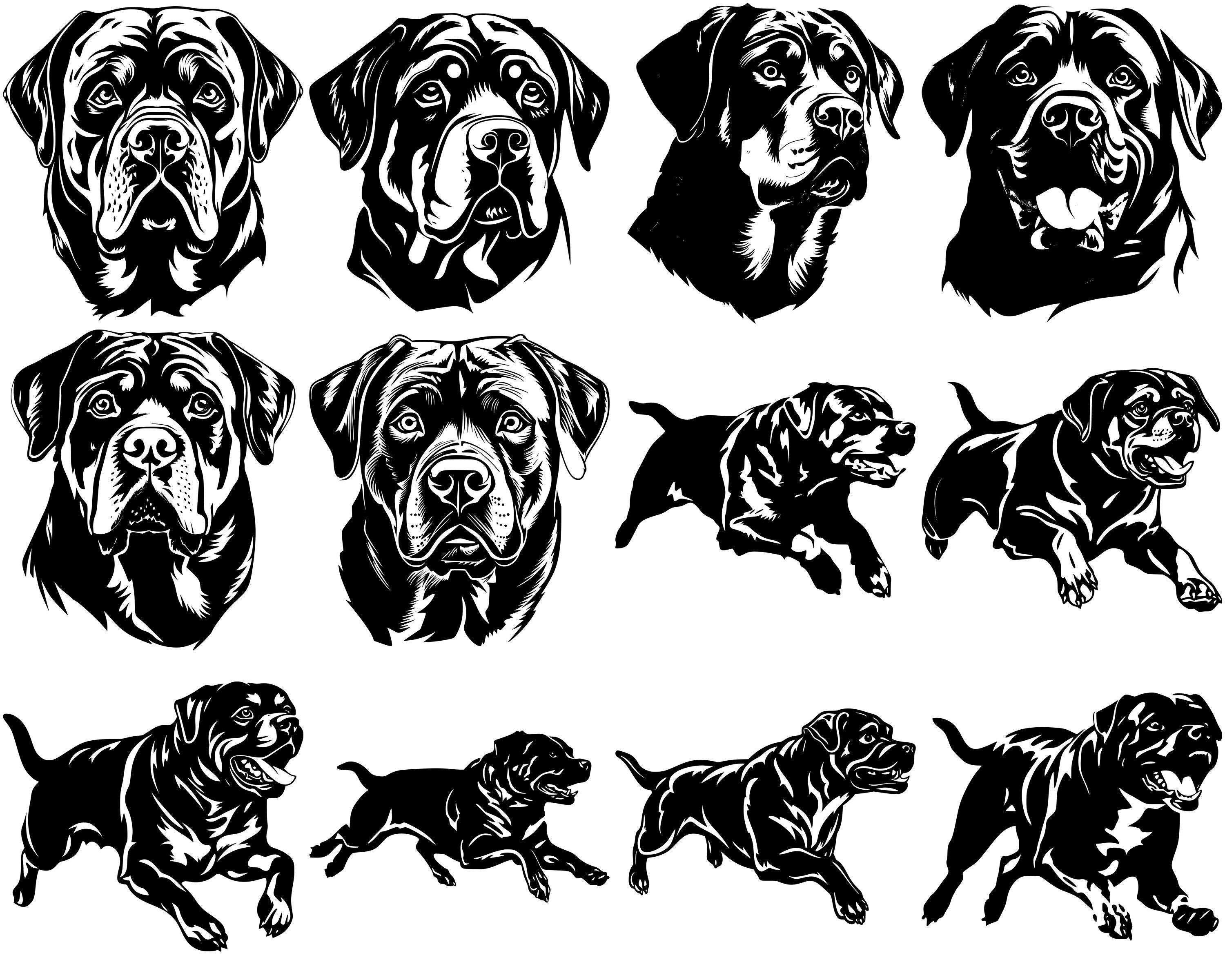 Rottweiler Dog SVG Bundle, Set of 100, Instant Digital Download, Png ...