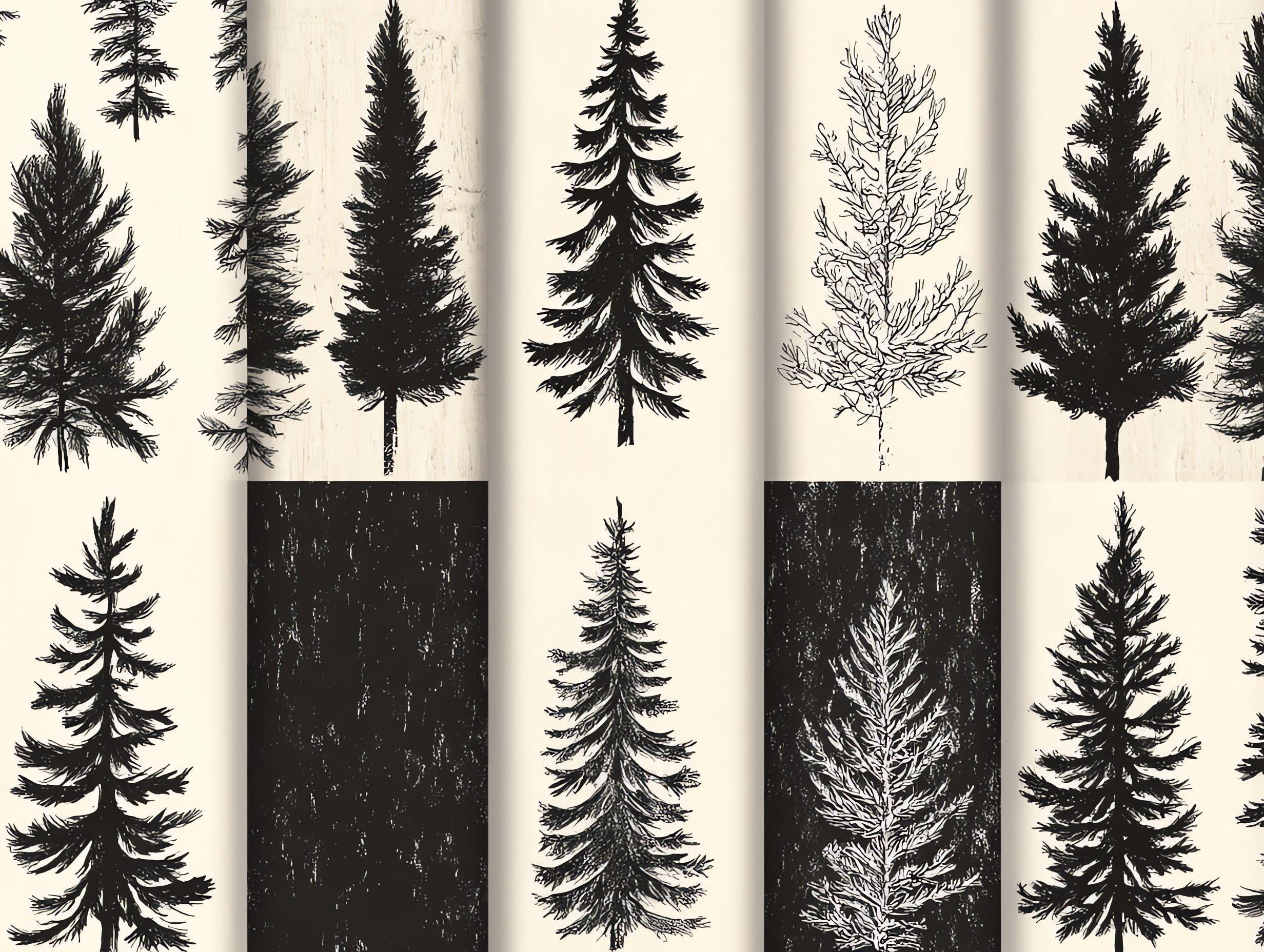 100+ Pine Tree Forest Procreate Textures, Brushes for Procreate ...