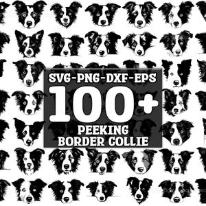 Peeking Border Collie SVG Bundle, Set of 100, Instant Digital Download, png, svg, eps, dxf