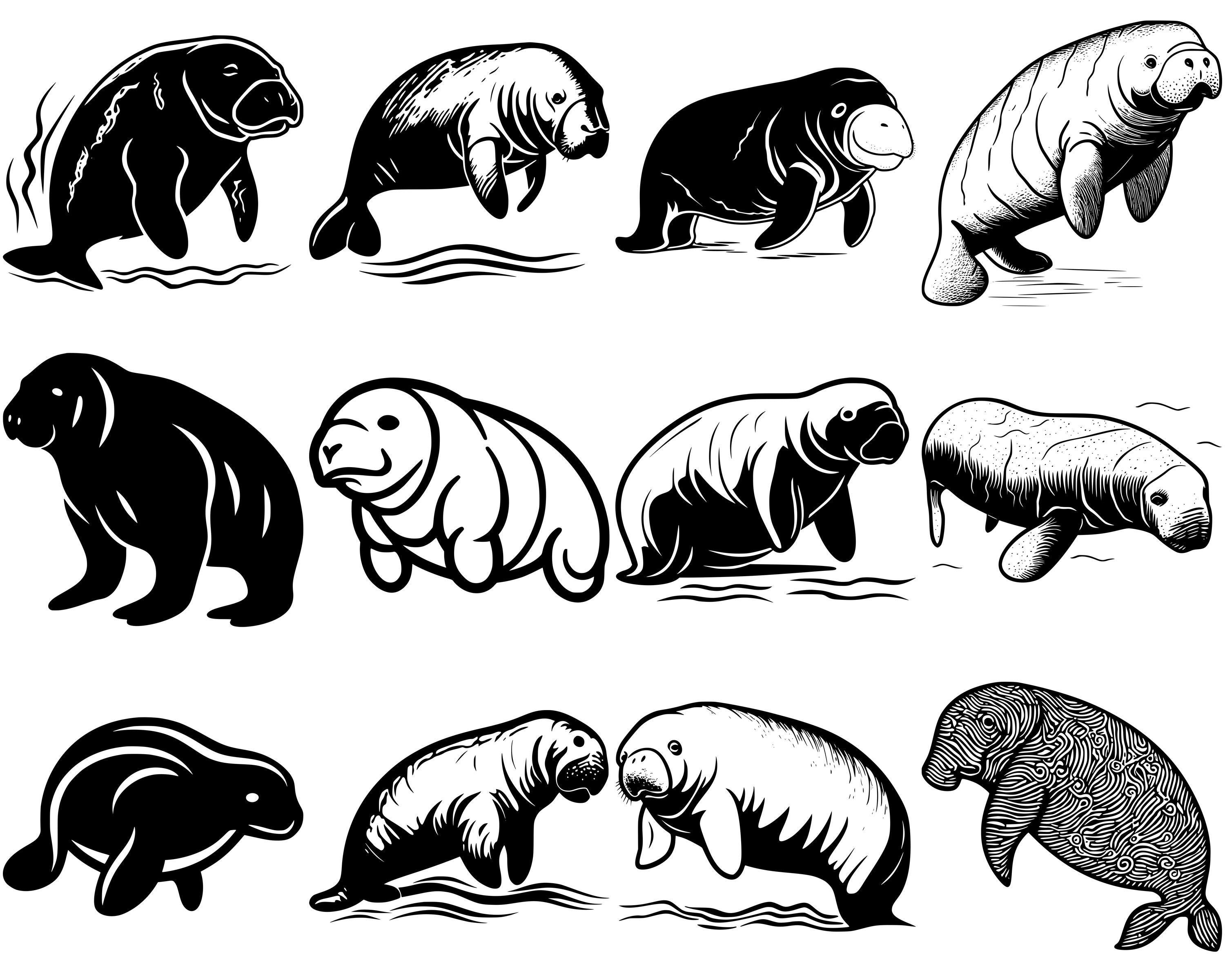 Manatee Vector File Manatee SVG Bundle, Set of 100, Instant Digital Download, Png, Svg, Eps ...