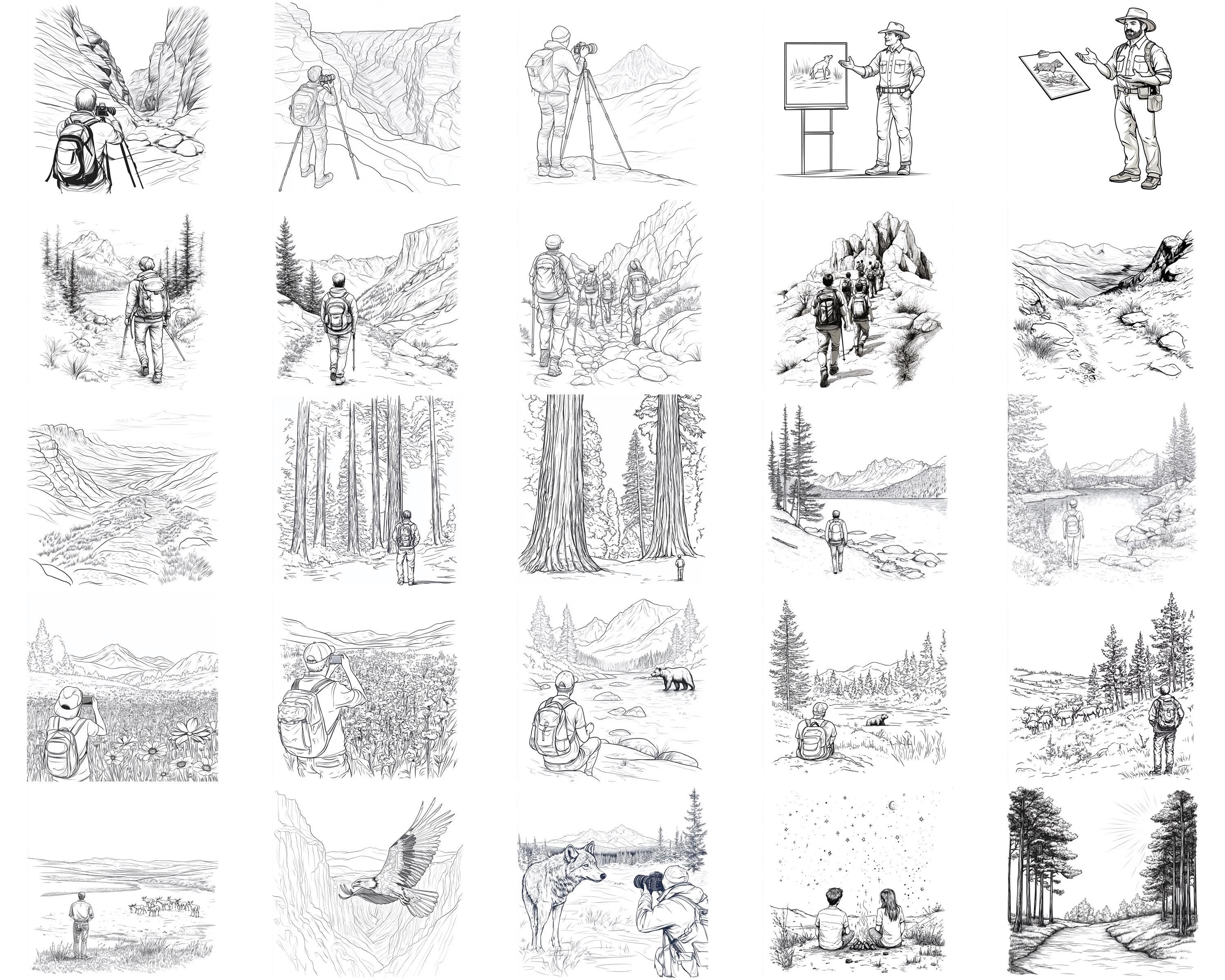 100+ National Parks Procreate Stamps, Brushes for Procreate, Instant ...