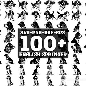 English Spaniel SVG Bundle, Set of 100, Instant Digital Download, png, svg, eps, dxf