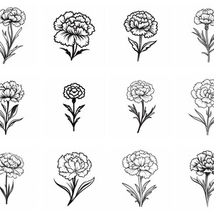 Carnation Flower SVG Bundle, Set of 100, Instant Digital Download, Png ...