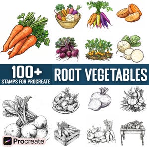 May include: A set of 100+ hand-drawn root vegetable illustrations for Procreate. The illustrations include carrots, beets, turnips, parsnips, potatoes, and sweet potatoes. The illustrations are in black and white and are perfect for use in digital art and design.