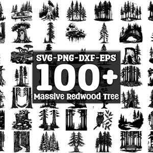 Massive Redwood Tree SVG Bundle, Set of 100, Instant Digital Download, png, svg, eps, dxf