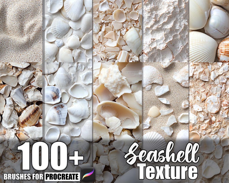 100+ Seashell Texture Procreate Textures, Brushes for Procreate ...