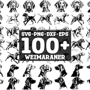 Weimaraner hond SVG-bundel, set van 100, instant digitale download, png, svg, eps, dxf