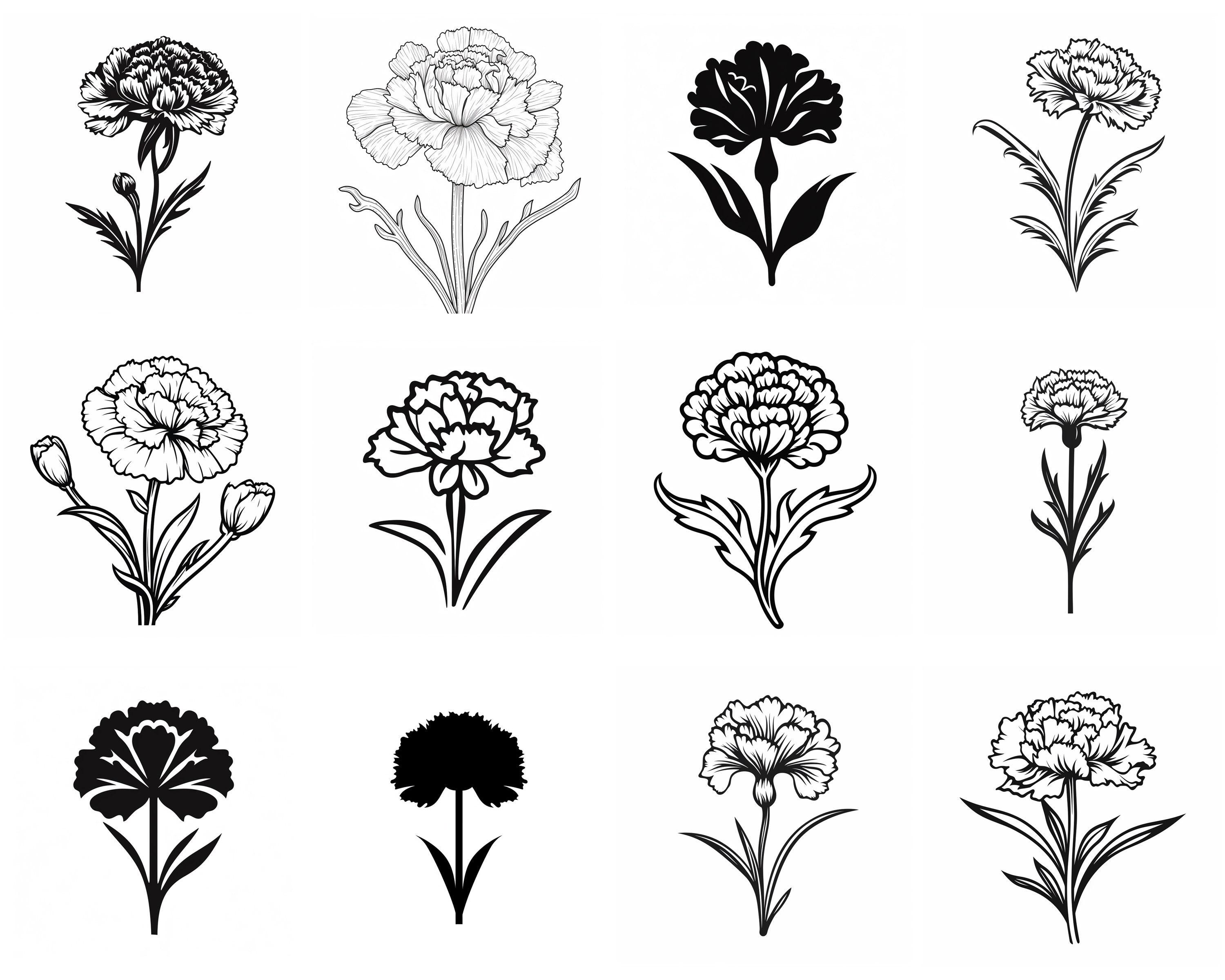 Carnation Flower SVG Bundle, Set of 100, Instant Digital Download, Png ...