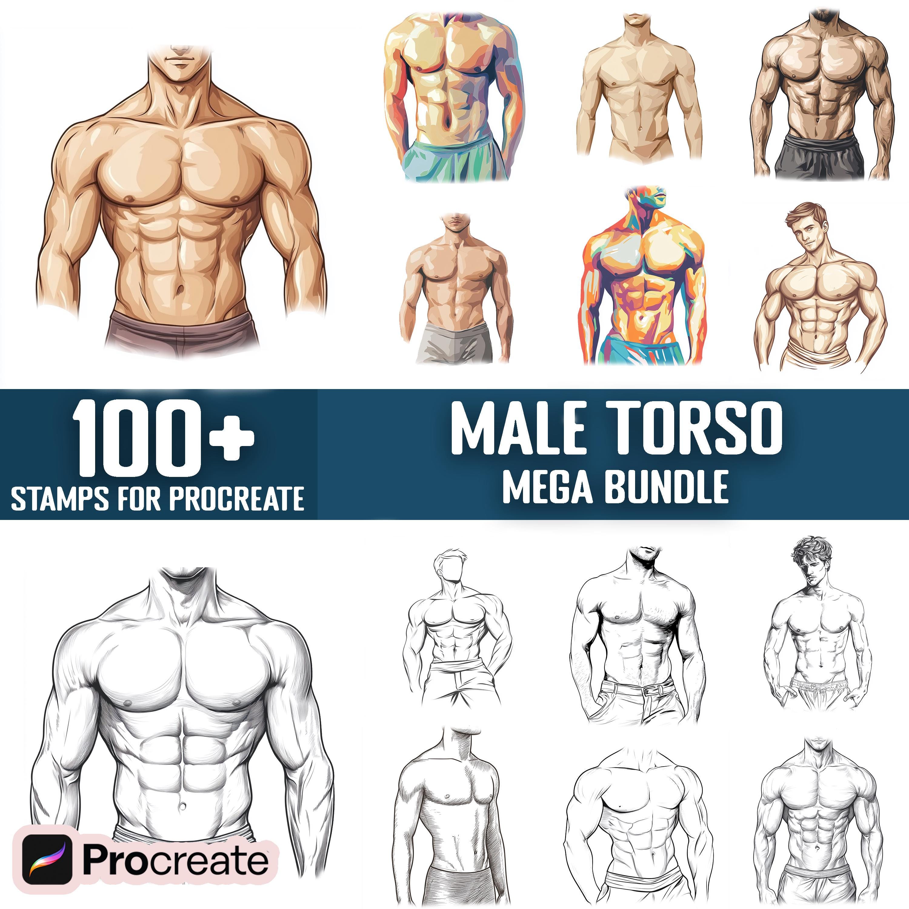 100+ Male Torso Procreate Stamps, Brushes for Procreate, Instant Digital Download
