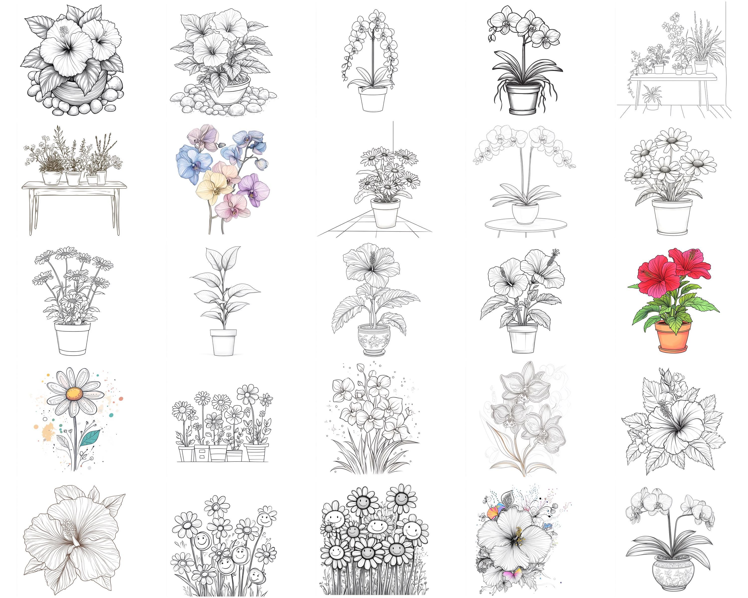 100+ Flowering Plant Procreate Stamps, Brushes for Procreate, Instant ...