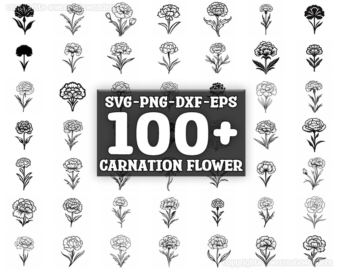 Carnation Flower SVG Bundle, Set of 100, Instant Digital Download, Png ...