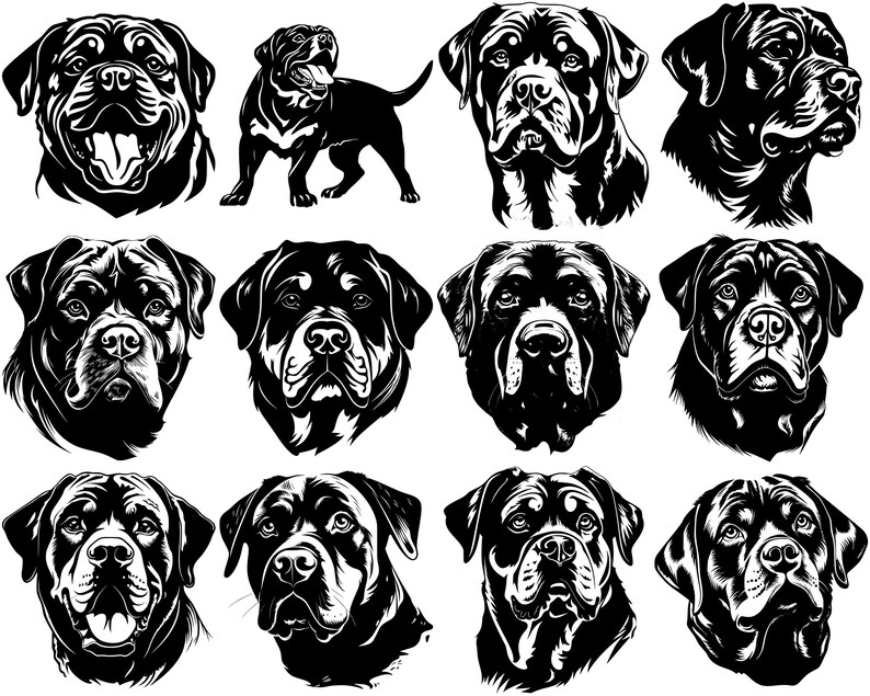 Rottweiler Dog SVG Bundle, Set of 100, Instant Digital Download, Png ...