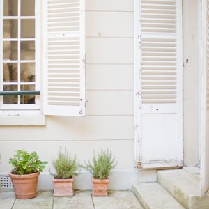 Paris Photography - Paris garden, Romantic French home decor, flowers, Living room art, Paris print, Large Wall Art, Fine Art Print