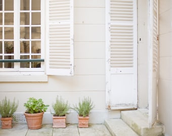 Paris Photography - Paris garden, Romantic French home decor, flowers, Living room art, Paris print, Large Wall Art, Fine Art Print