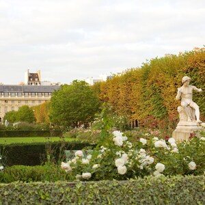 Paris Photography - Parisian garden, Fall, French home decor, floral, flowers, Living room art, Paris print, Large Wall Art, Fine Art Print